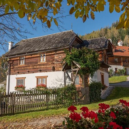 Troadkasten - Ferienhaus Am Bio-Bergbauernhof Aflenz Kurort Buitenkant foto