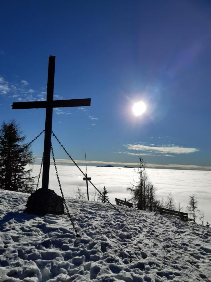 Troadkasten - Ferienhaus Am Bio-Bergbauernhof Aflenz Kurort Buitenkant foto