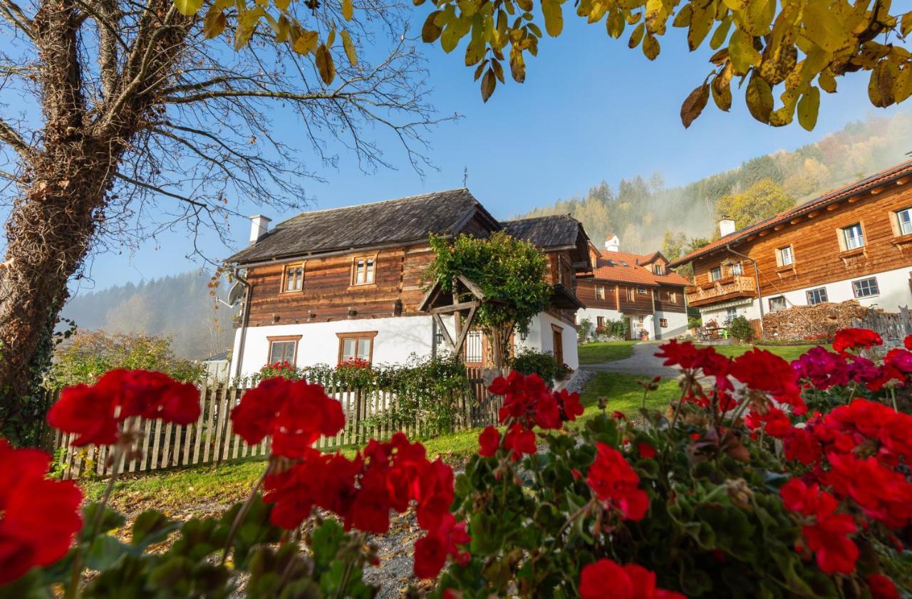 Troadkasten - Ferienhaus Am Bio-Bergbauernhof Aflenz Kurort Buitenkant foto