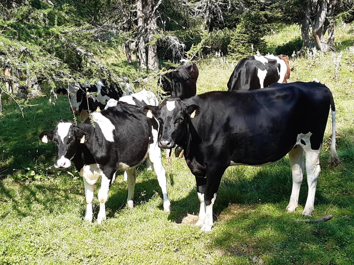 Troadkasten - Ferienhaus Am Bio-Bergbauernhof Aflenz Kurort Buitenkant foto