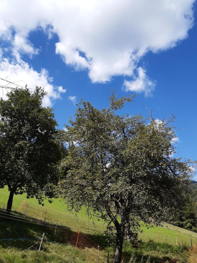 Troadkasten - Ferienhaus Am Bio-Bergbauernhof Aflenz Kurort Buitenkant foto