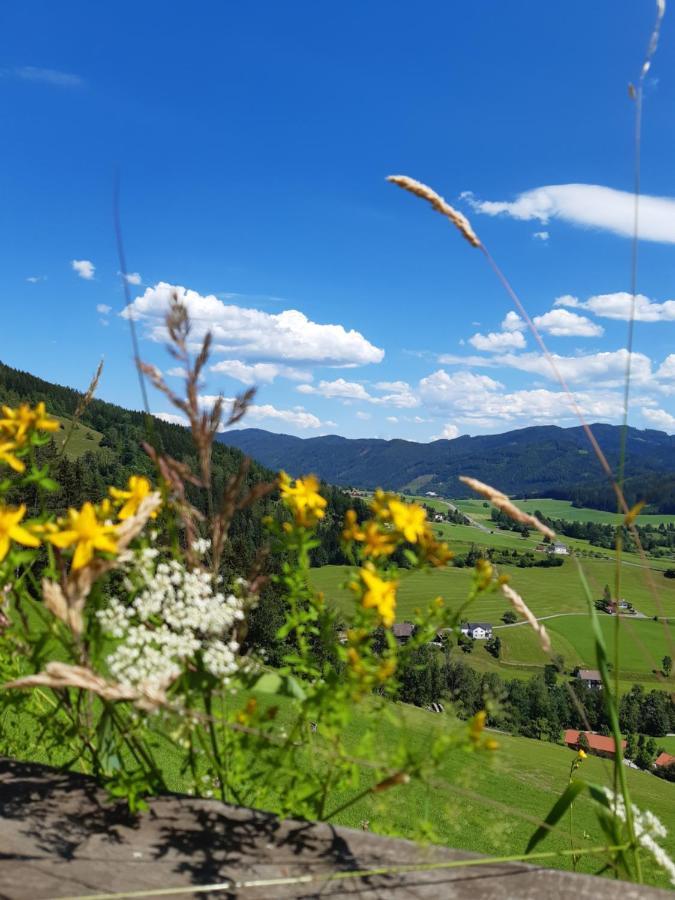 Troadkasten - Ferienhaus Am Bio-Bergbauernhof Aflenz Kurort Buitenkant foto