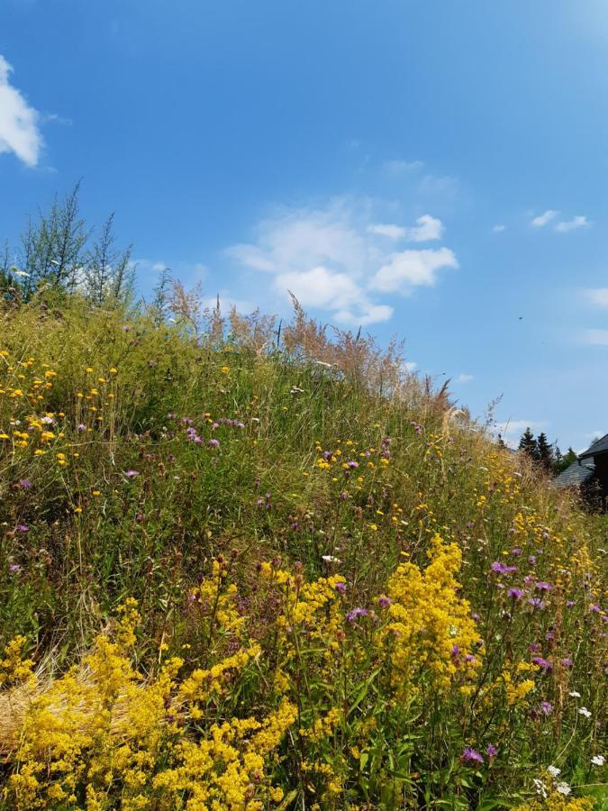 Troadkasten - Ferienhaus Am Bio-Bergbauernhof Aflenz Kurort Buitenkant foto