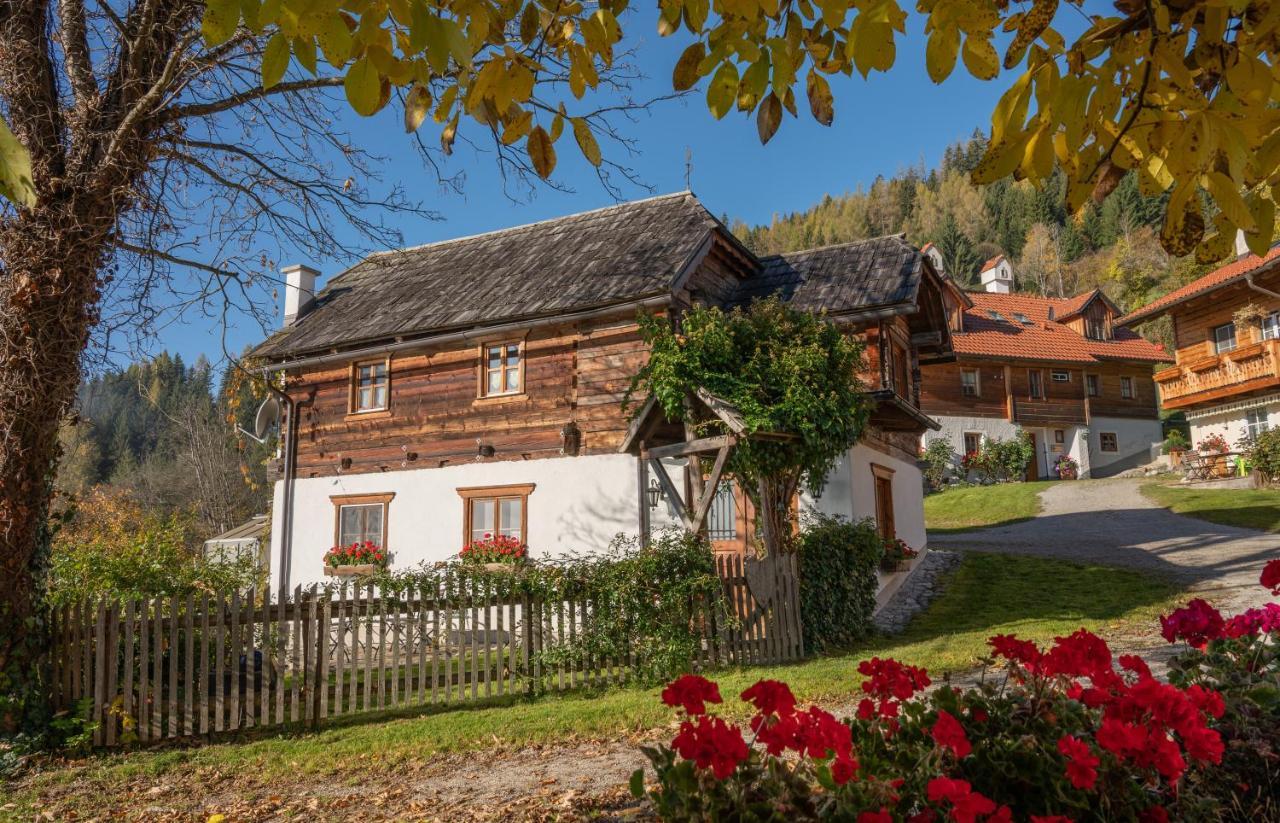 Troadkasten - Ferienhaus Am Bio-Bergbauernhof Aflenz Kurort Buitenkant foto