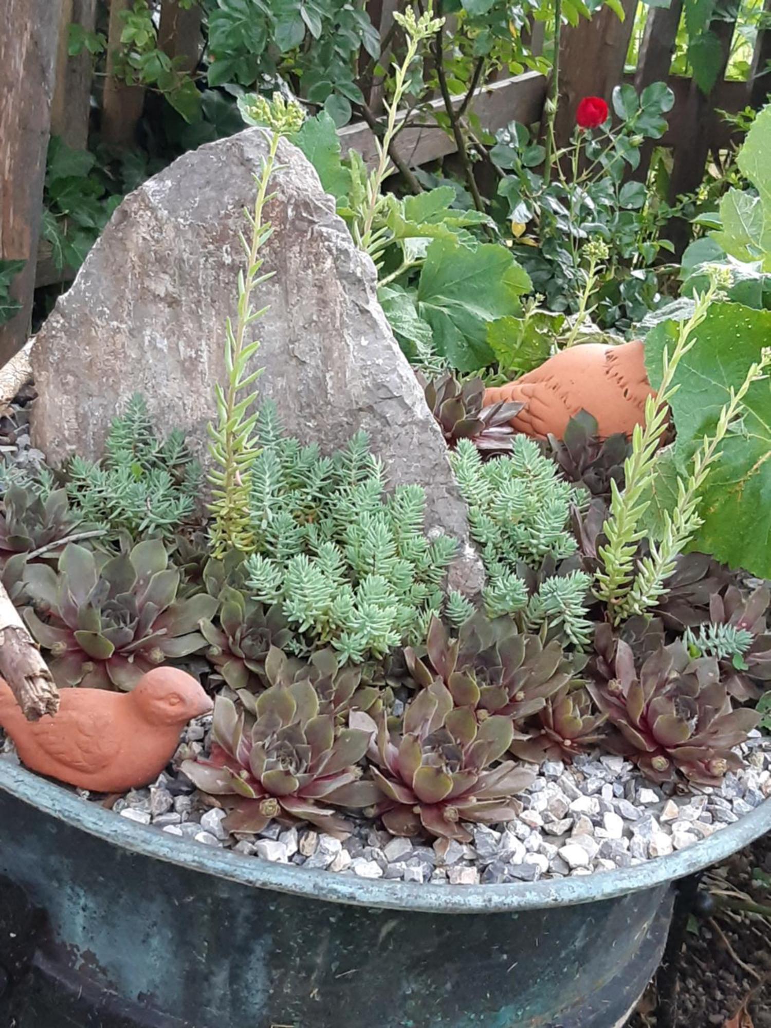 Troadkasten - Ferienhaus Am Bio-Bergbauernhof Aflenz Kurort Buitenkant foto